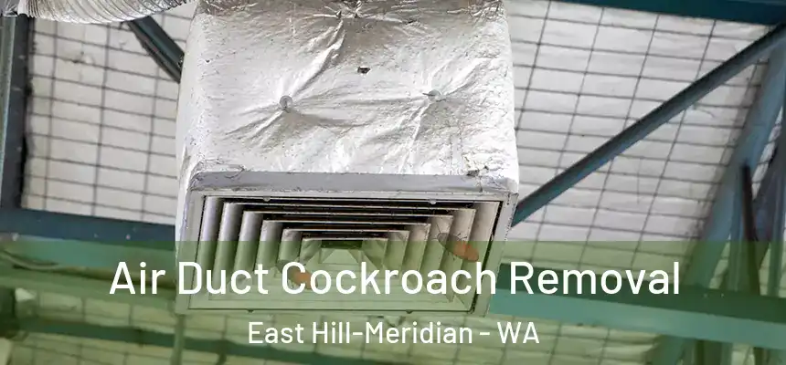 Air Duct Cockroach Removal East Hill-Meridian - WA