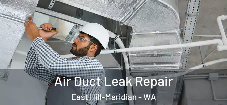 Air Duct Leak Repair East Hill-Meridian - WA