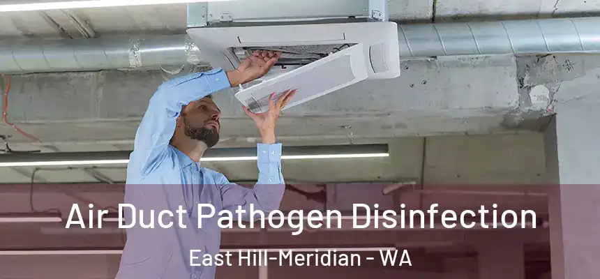  Air Duct Pathogen Disinfection East Hill-Meridian - WA