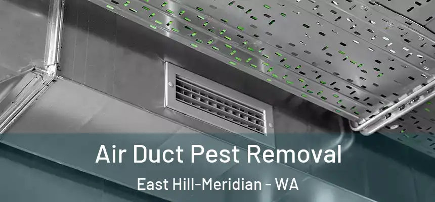 Air Duct Pest Removal East Hill-Meridian - WA