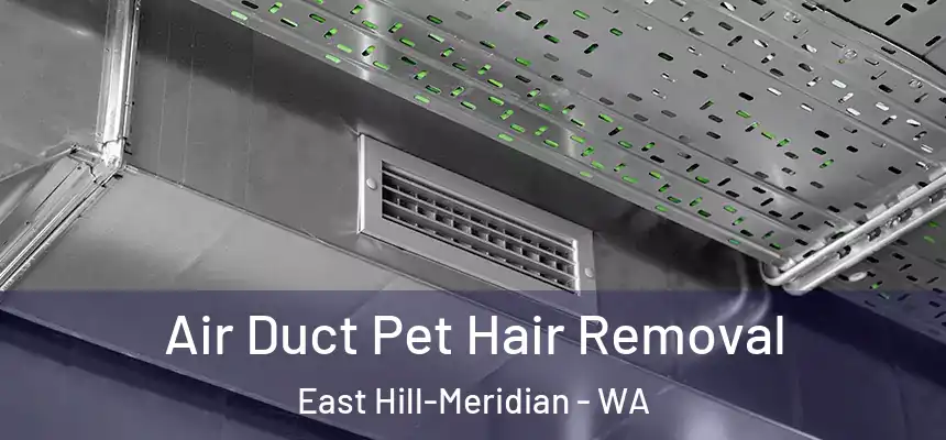 Air Duct Pet Hair Removal East Hill-Meridian - WA