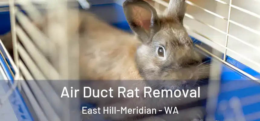  Air Duct Rat Removal East Hill-Meridian - WA