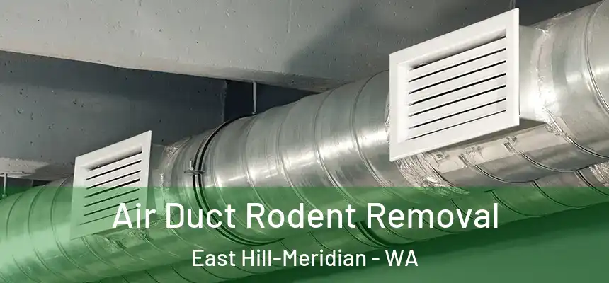  Air Duct Rodent Removal East Hill-Meridian - WA