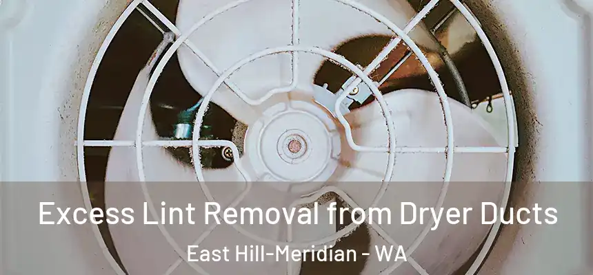 Excess Lint Removal from Dryer Ducts East Hill-Meridian - WA