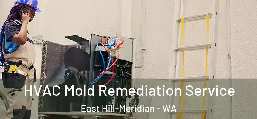  HVAC Mold Remediation Service East Hill-Meridian - WA