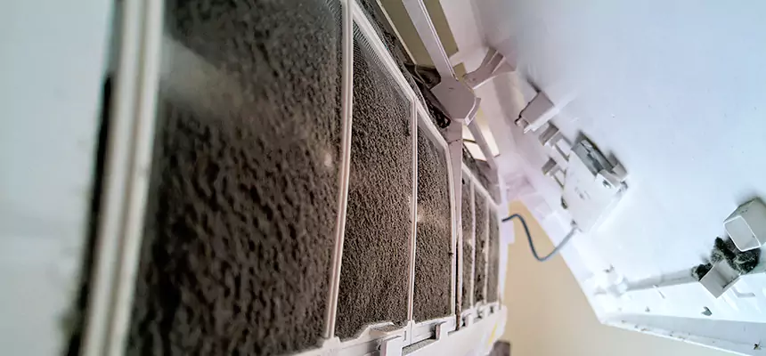 Preventive Air Duct Bacteria Removal in East Hill-Meridian