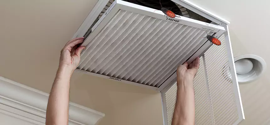 Preventive Cockroach-Proofing for Ducts in East Hill-Meridian