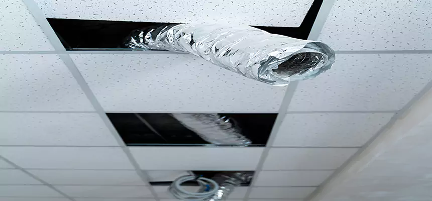 Our Air Duct Pet Hair Removal Services in East Hill-Meridian, WA