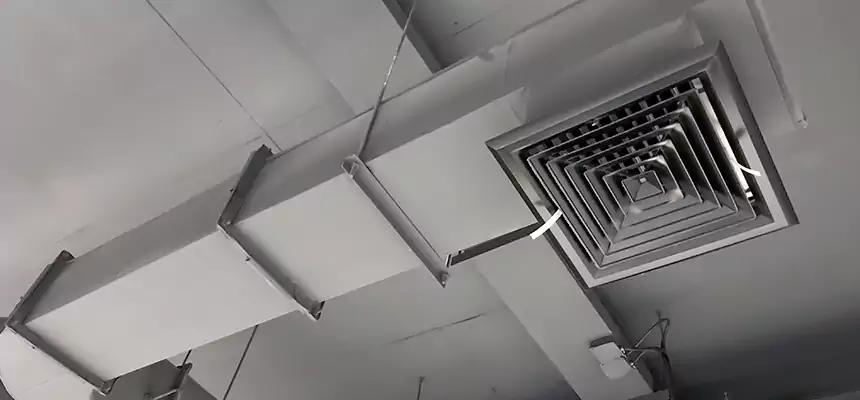 Our Pest Removal From Ducts Services in East Hill-Meridian, WA