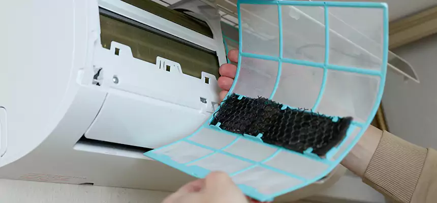 Gentle Ductwork Odor-Control Pet Dander Duct Cleaning in East Hill-Meridian, WA