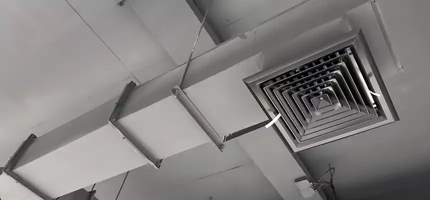 Our Rodent Droppings In Vents Services in East Hill-Meridian, WA