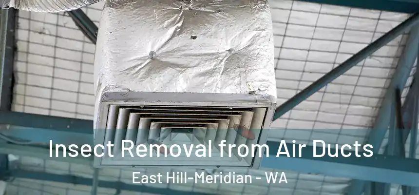  Insect Removal from Air Ducts East Hill-Meridian - WA