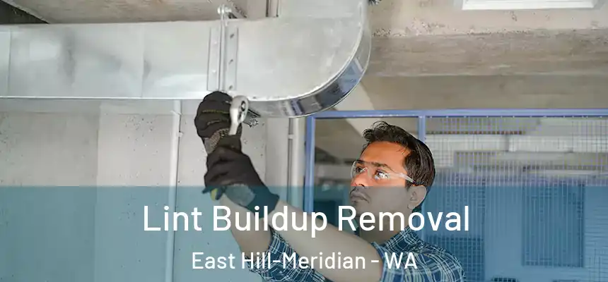  Lint Buildup Removal East Hill-Meridian - WA