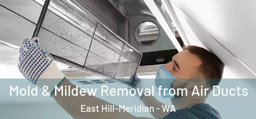  Mold & Mildew Removal from Air Ducts East Hill-Meridian - WA