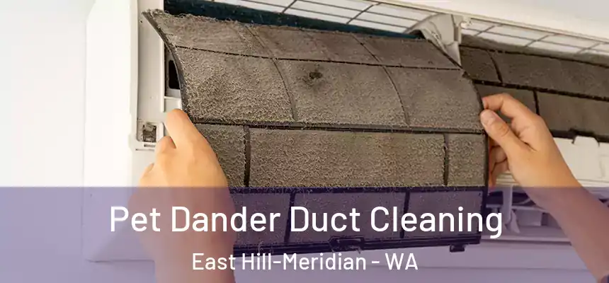  Pet Dander Duct Cleaning East Hill-Meridian - WA
