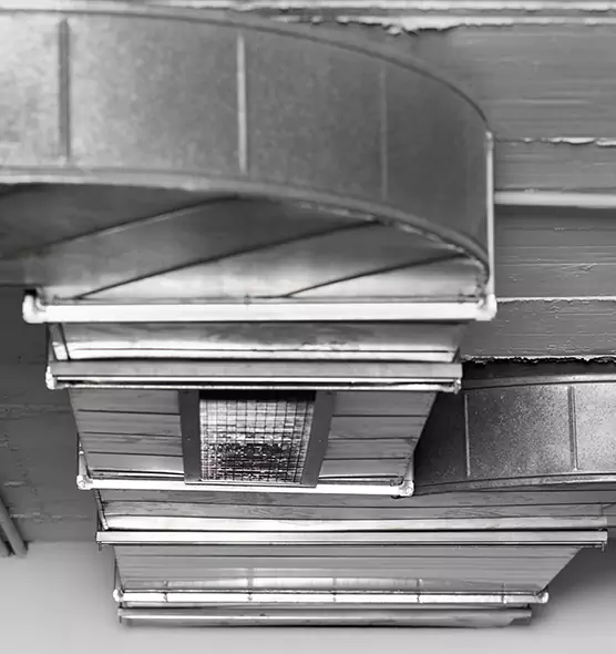 Professional Air Duct Pest Removal in East Hill-Meridian, WA