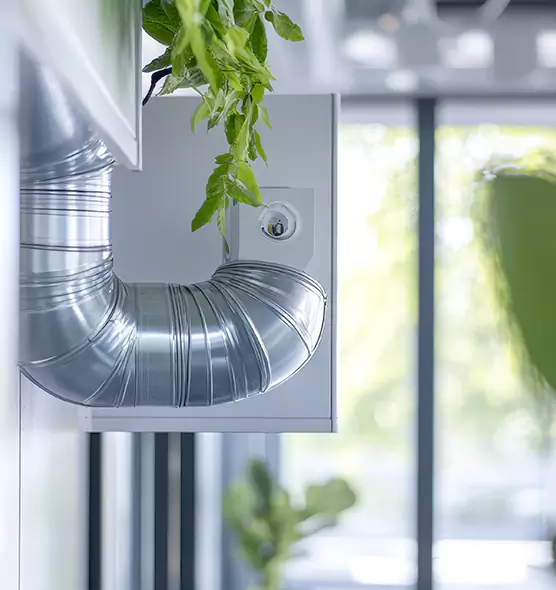 Professional Eco-Friendly Duct Cleaning Services in East Hill-Meridian, WA