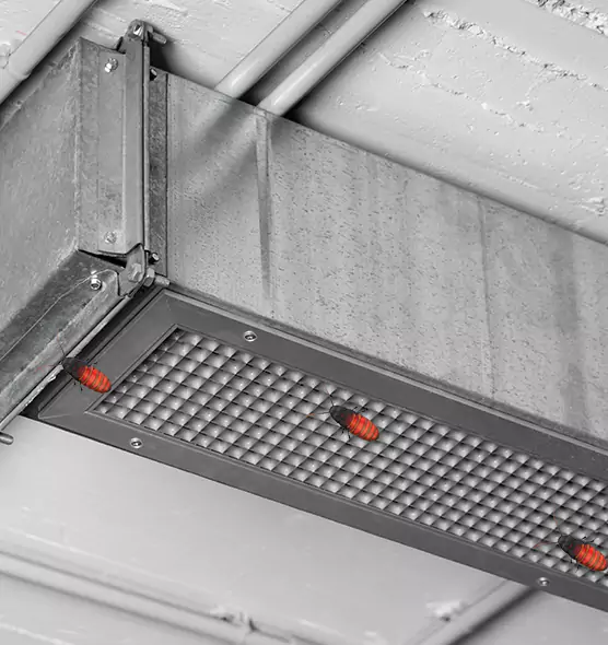 Affordable Insect Removal from Air Ducts in East Hill-Meridian, WA