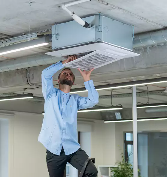 Advanced Rodent Droppings In Vents in East Hill-Meridian, WA