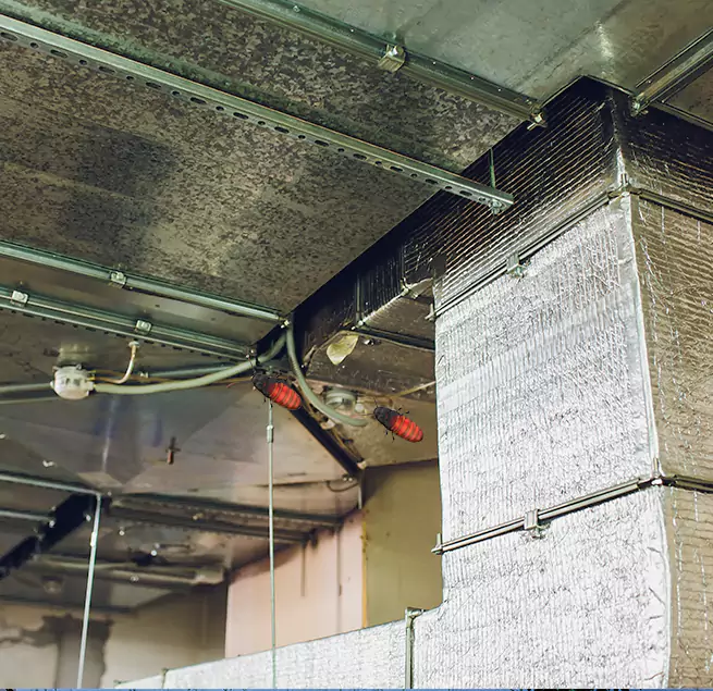 Why Homeowners & Businesses Trust Us in East Hill-Meridian, WA?