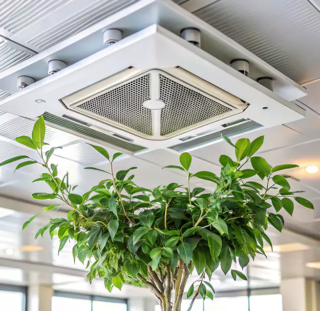 Why Homeowners & Businesses Trust Us in East Hill-Meridian, WA?