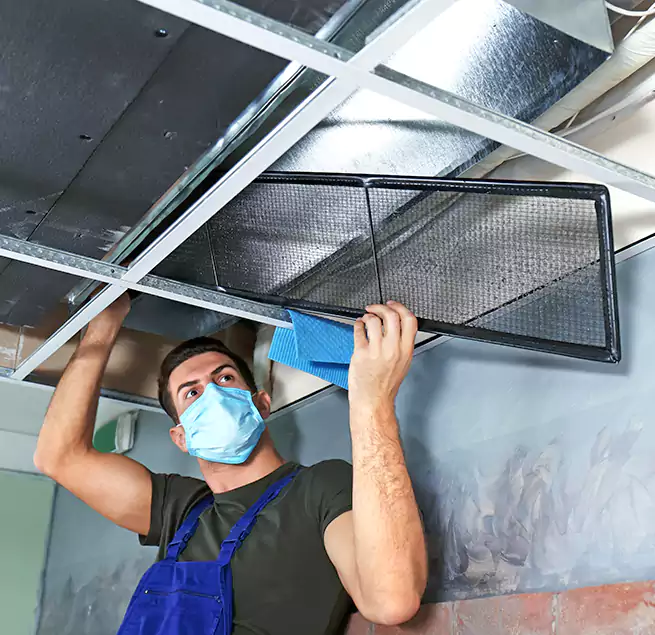 Why Homeowners Businesses Trust Us in East Hill-Meridian, WA